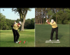 Shaping Golf Shots around Trees