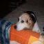 beaglegolf's picture